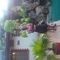 Ann Gathii