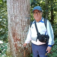 Antonio Aylas Montalvo