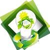 AMP Energy Management Corp