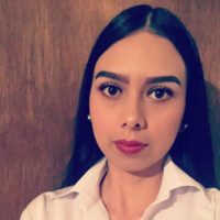 Laura Camarena flores
