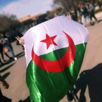 Malek H