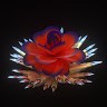 Yll Gashi