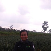 Nur Sahid