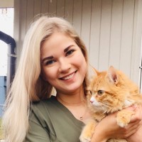 Kendall Rohde