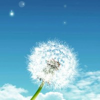牟永刚