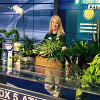 Kara Collier Ziegler