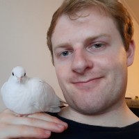 Harm van Son