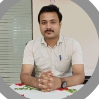 VIVEK N