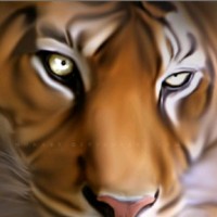 Sandeep Pawar