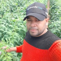 Carmelo Mancebo Ortiz