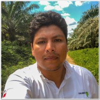José Daniel Goigochea Pinchi