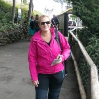 Alison Stephens