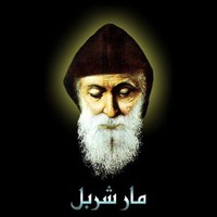 charbel bassil succar