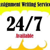 Assignment Expert