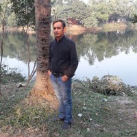 Masud Raj