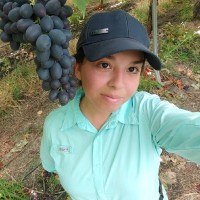 Cinthia Cossio Gomez