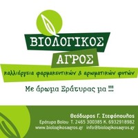 Theodoros Stefopoulos