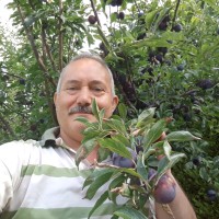 Mehmet ölçer