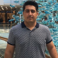 Hamid Reza Afrouzeh