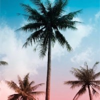 Chloe Emma Bickerstaffe