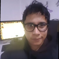 Diego Maiz Villarroel