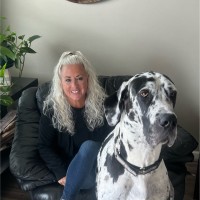 Theresa (Teri) Rigato Msn, Rn