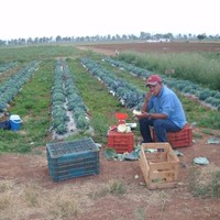 Enrique Salgado