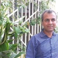 SYED KAZIM RAZA ZAIDI