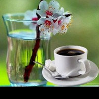 Strowberry Abdou