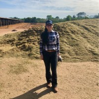 Jamylle Adriane Gemaque Fonseca