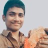 Bhanu Bhai Bhai