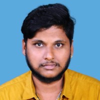 Ramanarayanan S