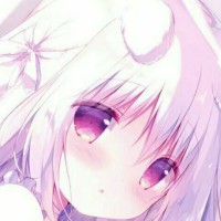 柳明月