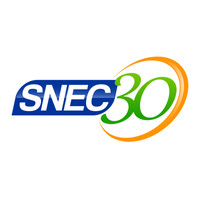 Snec Curcumin