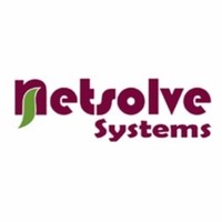 Netsolve Systems