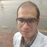 Mostafa Hussien