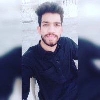 Hamza Malik