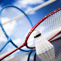 Badminton Bash
