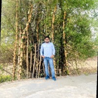 Ankit Pal