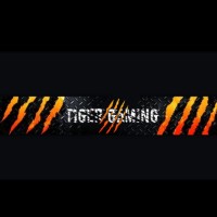 Tiger Gaming