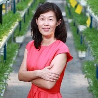 魏灵玲