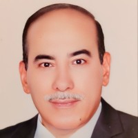 Hesham Ibrahim