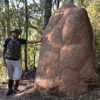 Marcelo Netto Duarte