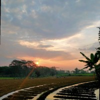 Angga Aditia