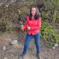 Laura Enriquez Illescas