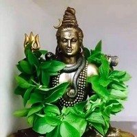 Mogan Velu