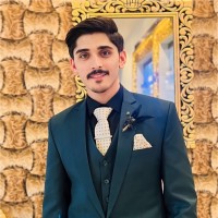 Hamid Ali
