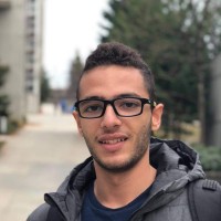 Ahmed Seifelnasr