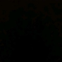 V S