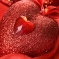 Shagufta Shabbir